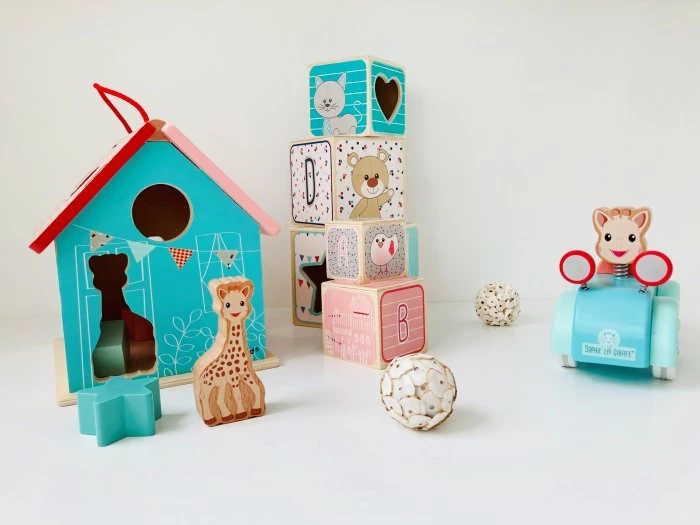 Janod Sales Shop -Janod Sales Shop 00