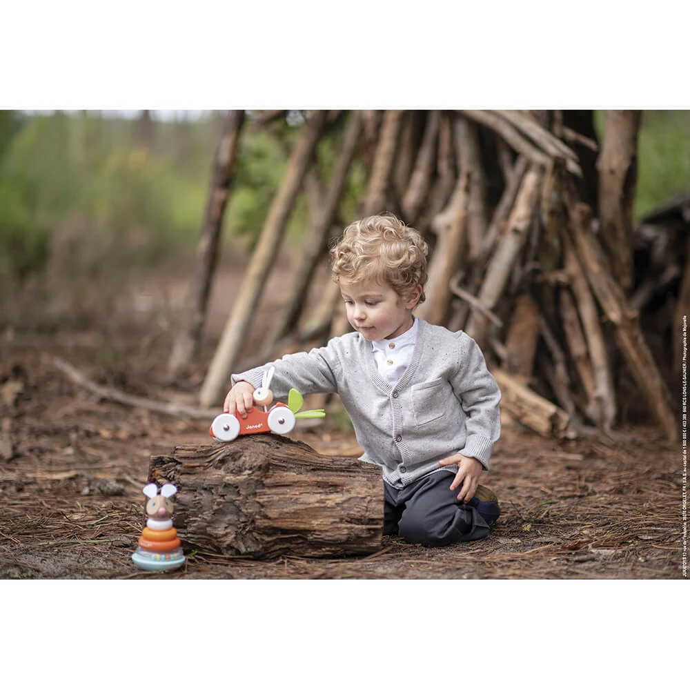 Janod LAPIN CARROT CAR (WOOD) by Janod 7 Janod LAPIN CARROT CAR (WOOD) by Janod