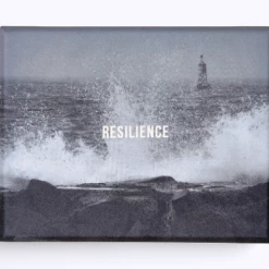The School of Life Resilience Cards