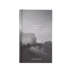 The School of Life The Sorrows of Work Book
